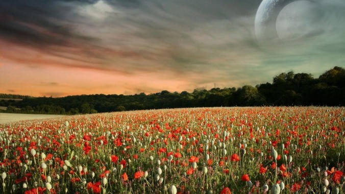 有些家长可以恶心到什么程度？